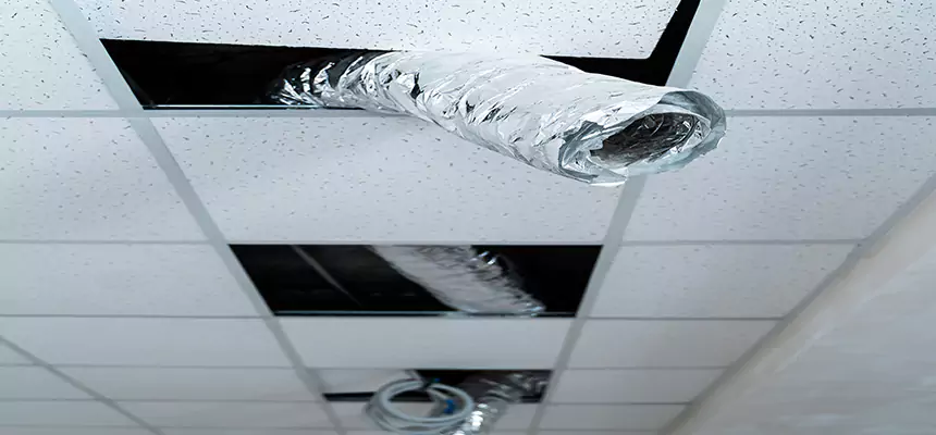 Affordable HVAC Sanitizing After Pest Removal in Upper Arlington