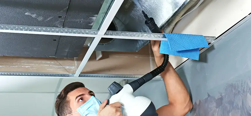 Our Air Duct Rodent Removal Services in Upper Arlington, OH