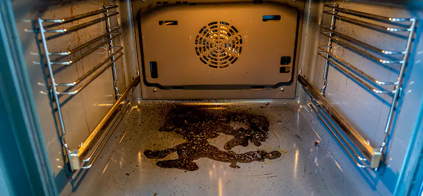 Our Dryer Vent Mold Cleaning Services in Upper Arlington, OH