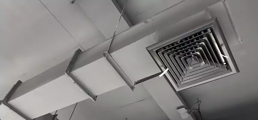 Our Rodent Droppings In Vents Services in Upper Arlington, OH