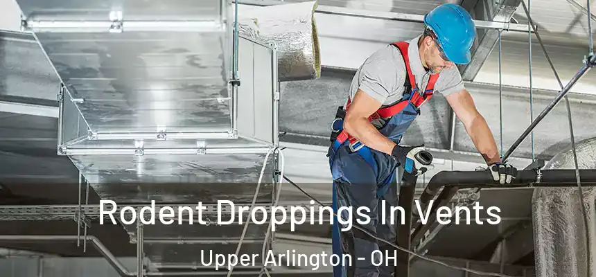  Rodent Droppings In Vents Upper Arlington - OH