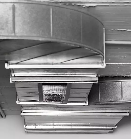 Professional Air Duct Pest Removal in Upper Arlington, OH