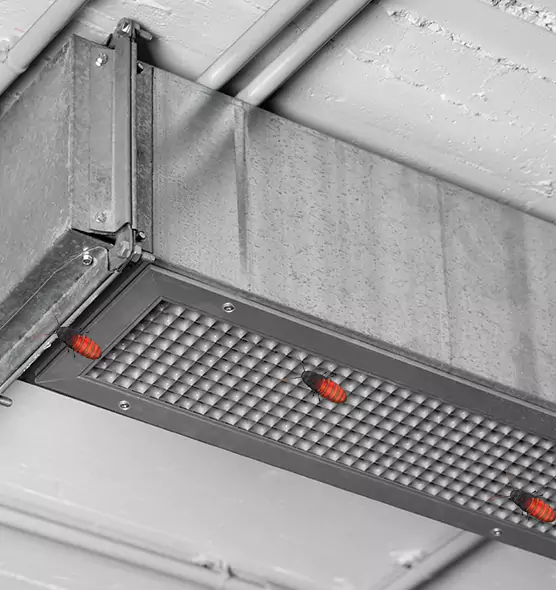 Affordable Insect Removal from Air Ducts in Upper Arlington, OH